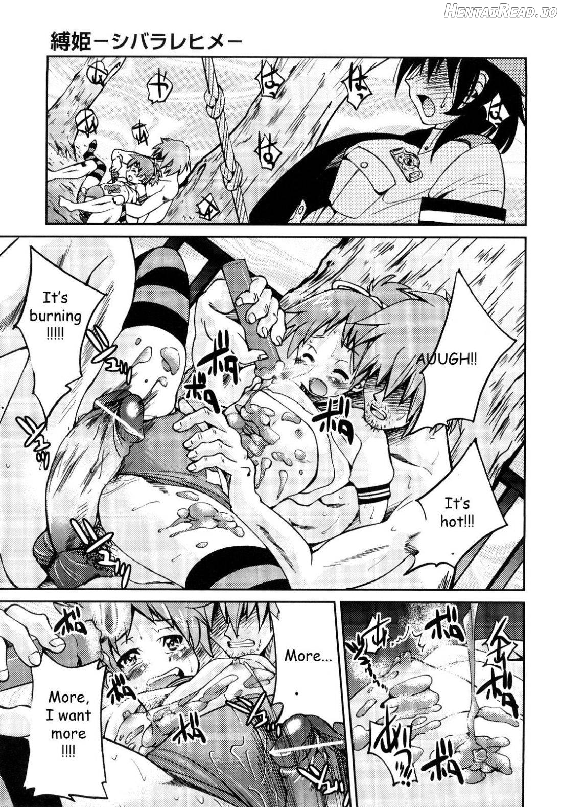 Shibarare Hime Chapter 1 - page 160