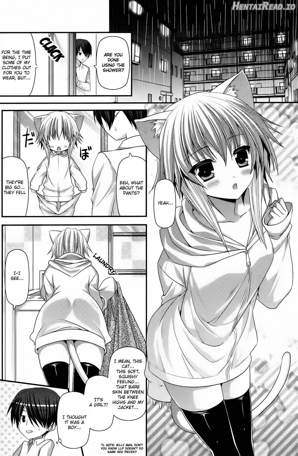Lonely Cat Chapter 1 - page 2