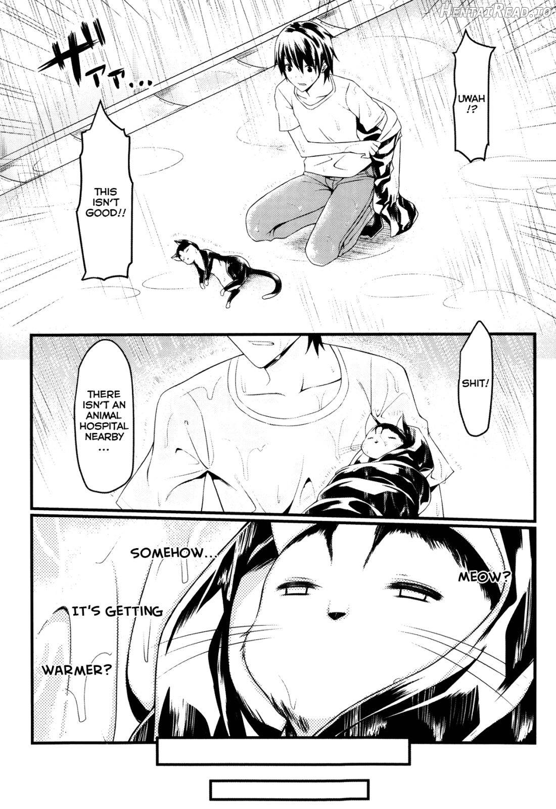CatWooOman ~ Neko to Anata no Monogatari ~ Chapter 1 - page 2