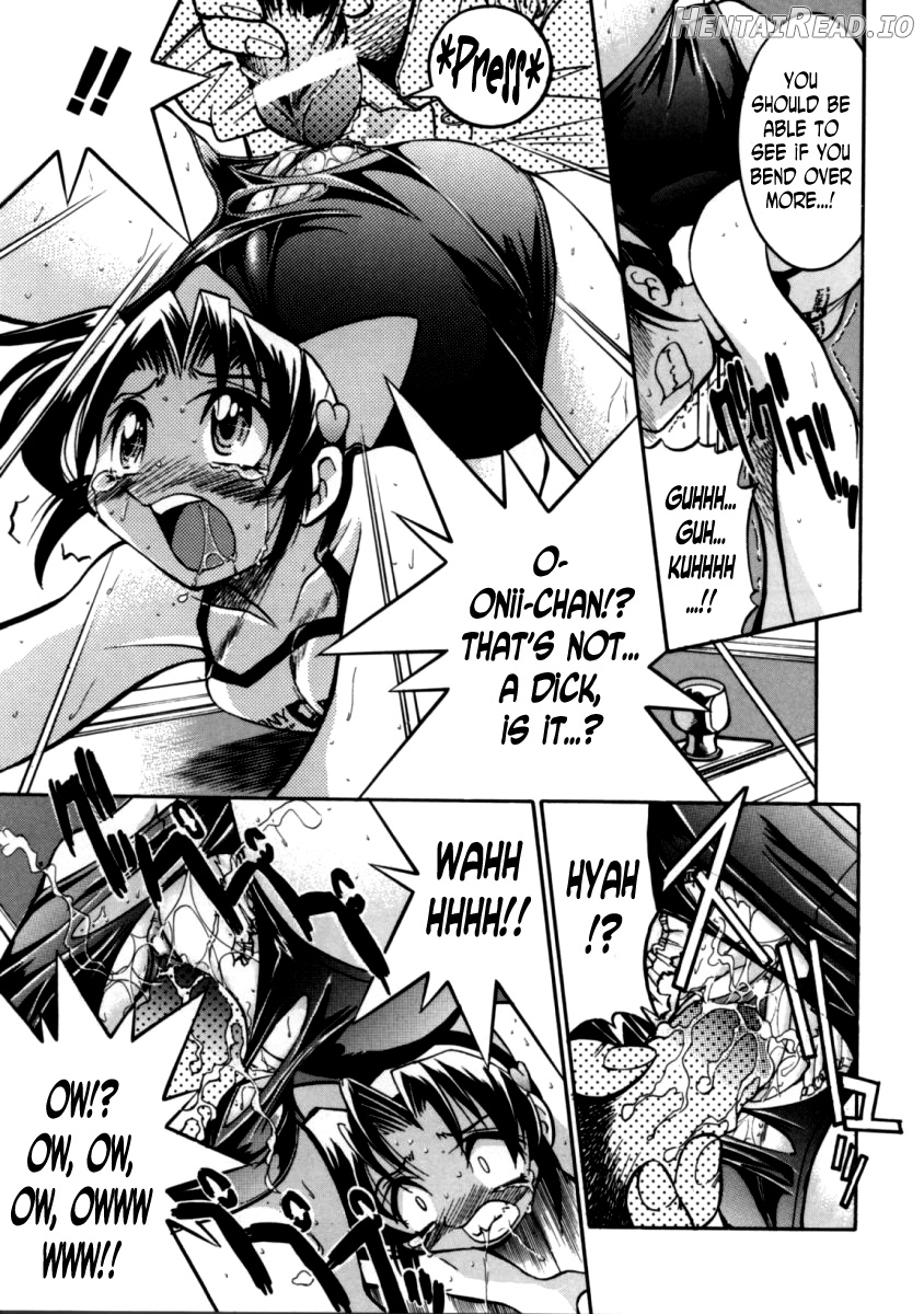 Sister Spirit -Imouto-chan Daikaikyaku- Chapter 1 - page 15