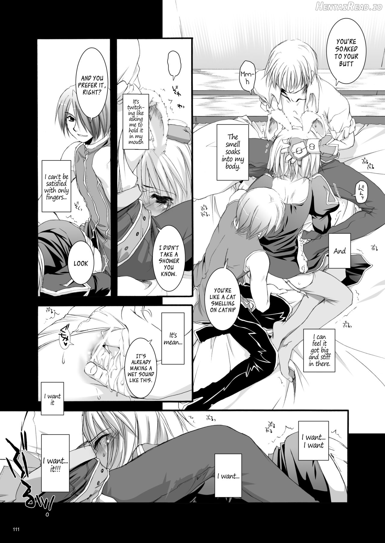 DL-RO Soushuuhen 01 Chapter 2 - page 111