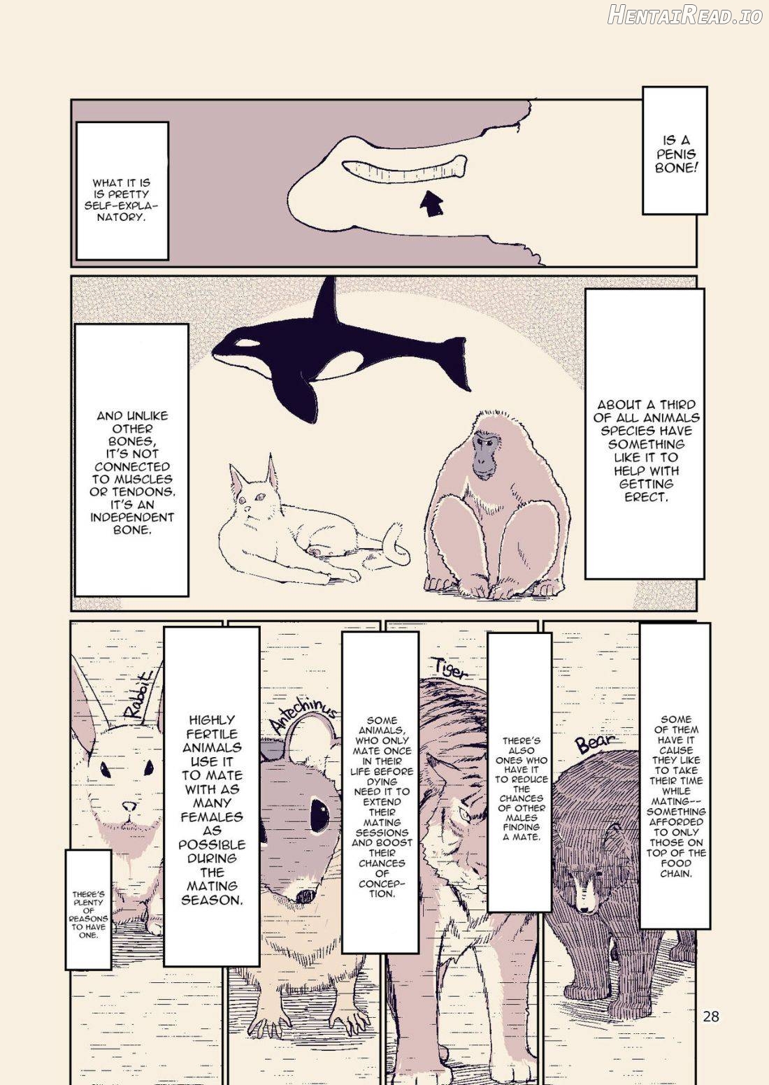 Dosukebe Elf no Ishukan Nikki 9 Chapter 10 - page 28