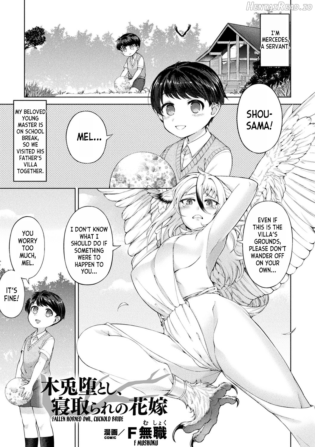 Fallen Horned Owl, Cuckold Bride Chapter 1 - page 5