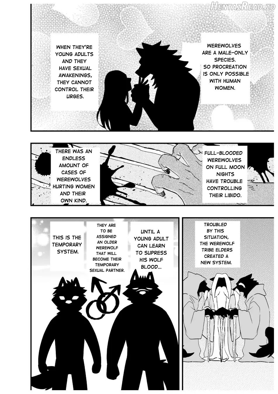 Karisome Ookami Chapter 1 - page 13