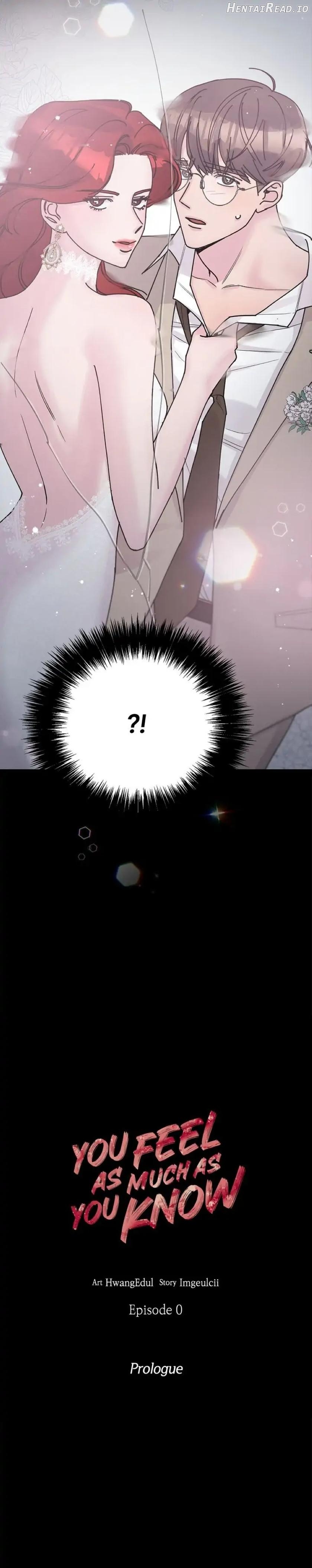 Feel as Much as You Know Chapter 0.1 - page 11