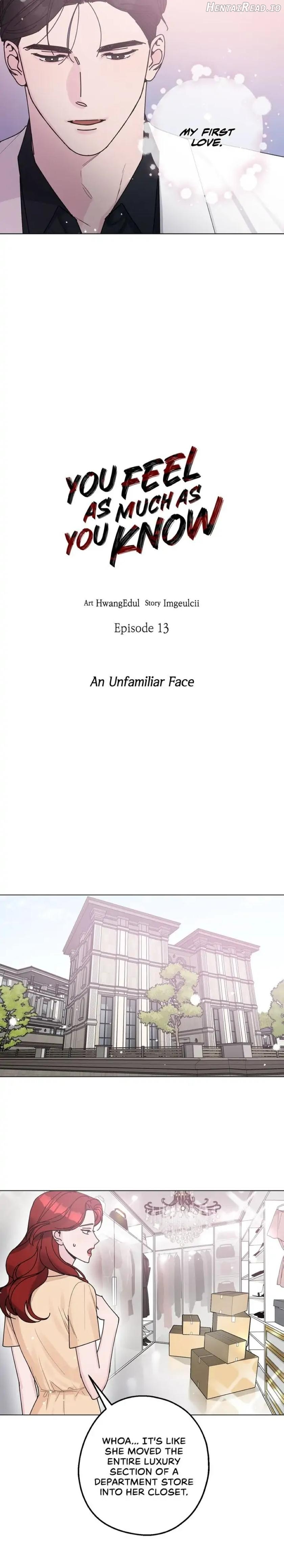 Feel as Much as You Know Chapter 13 - page 15