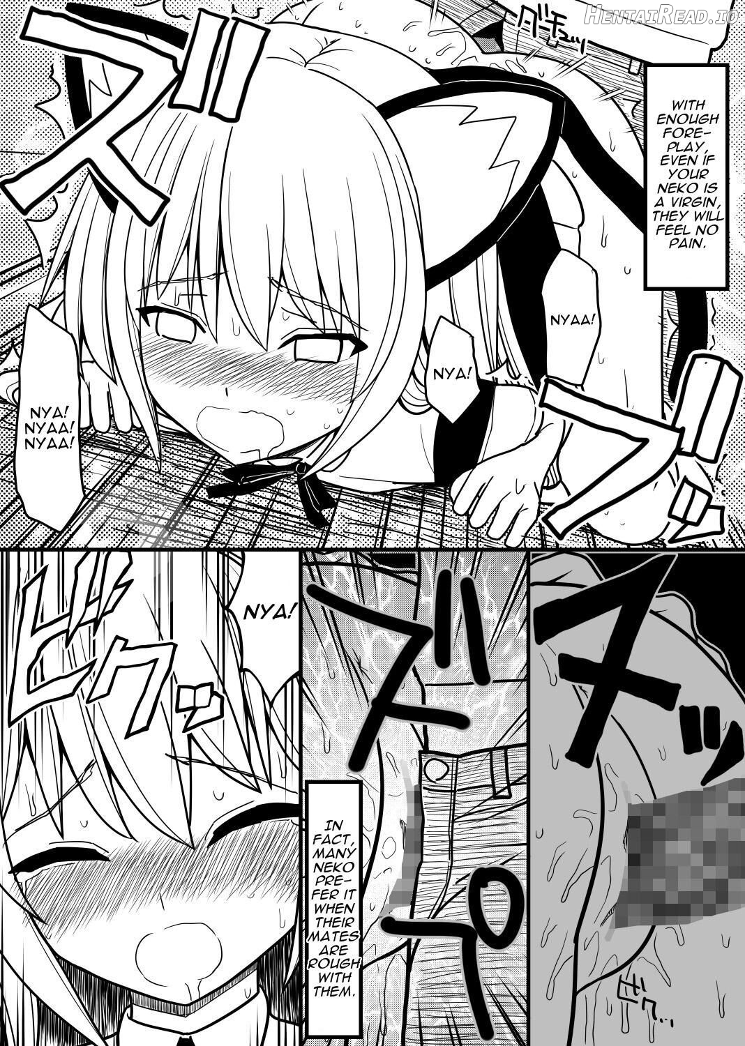 Hito neko no kaikata ～Hatsujo-ki-hen～ Chapter 1 - page 17