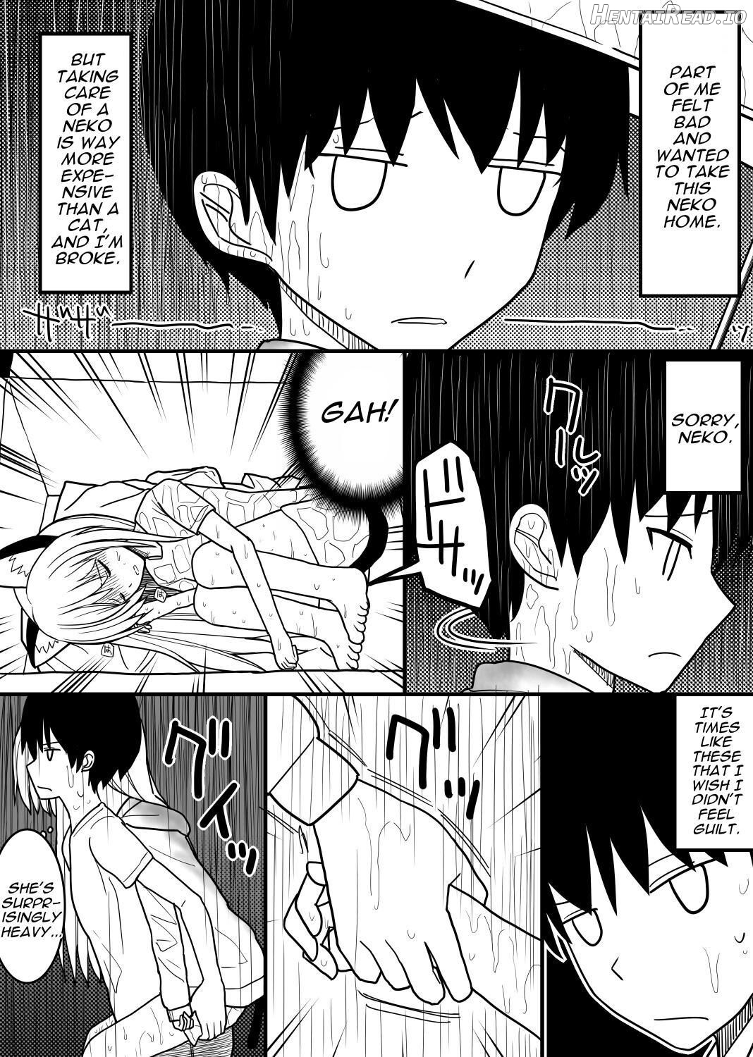 Hito neko no kaikata ～Hatsujo-ki-hen～ Chapter 1 - page 3