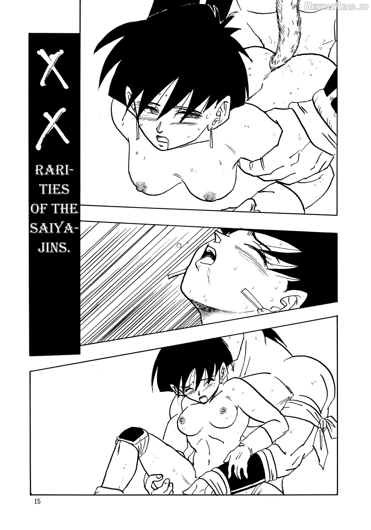 XX Excavateur] Chapter 1 - page 15
