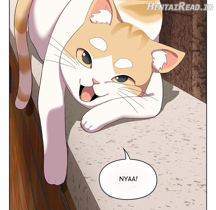 The Love Meowtchmaker Chapter 1 - page 134