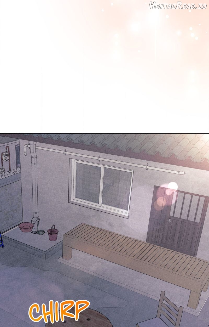 11336 - Manhwa Chapter 36 - page 12