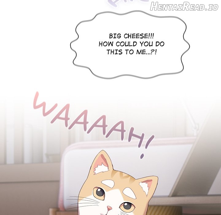 The Love Meowtchmaker Chapter 2 - page 197