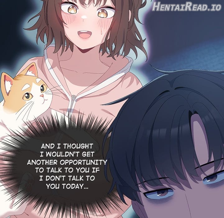 The Love Meowtchmaker Chapter 2 - page 29
