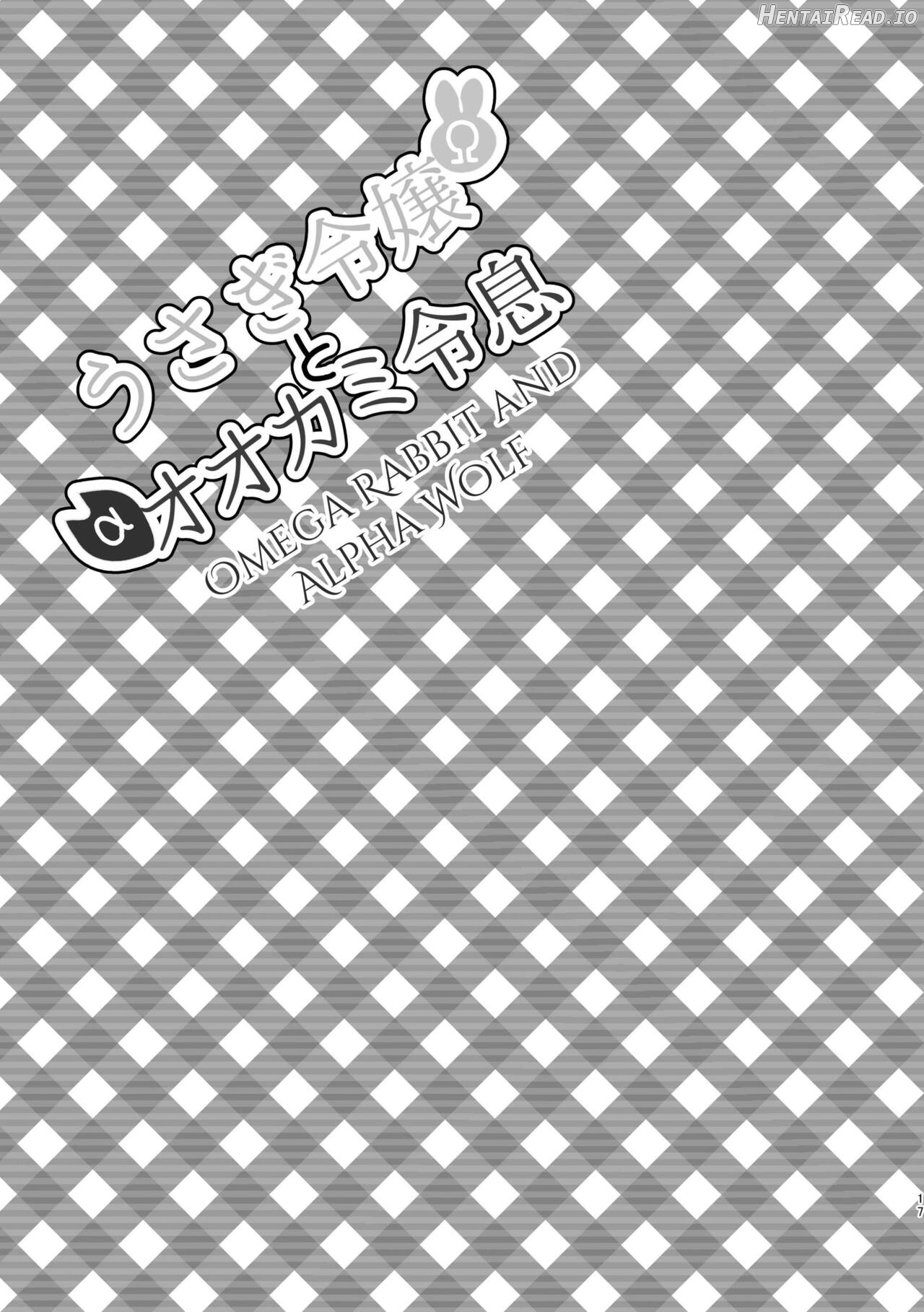Usagi Reijou to Ookami Reisoku Chapter 1 - page 17