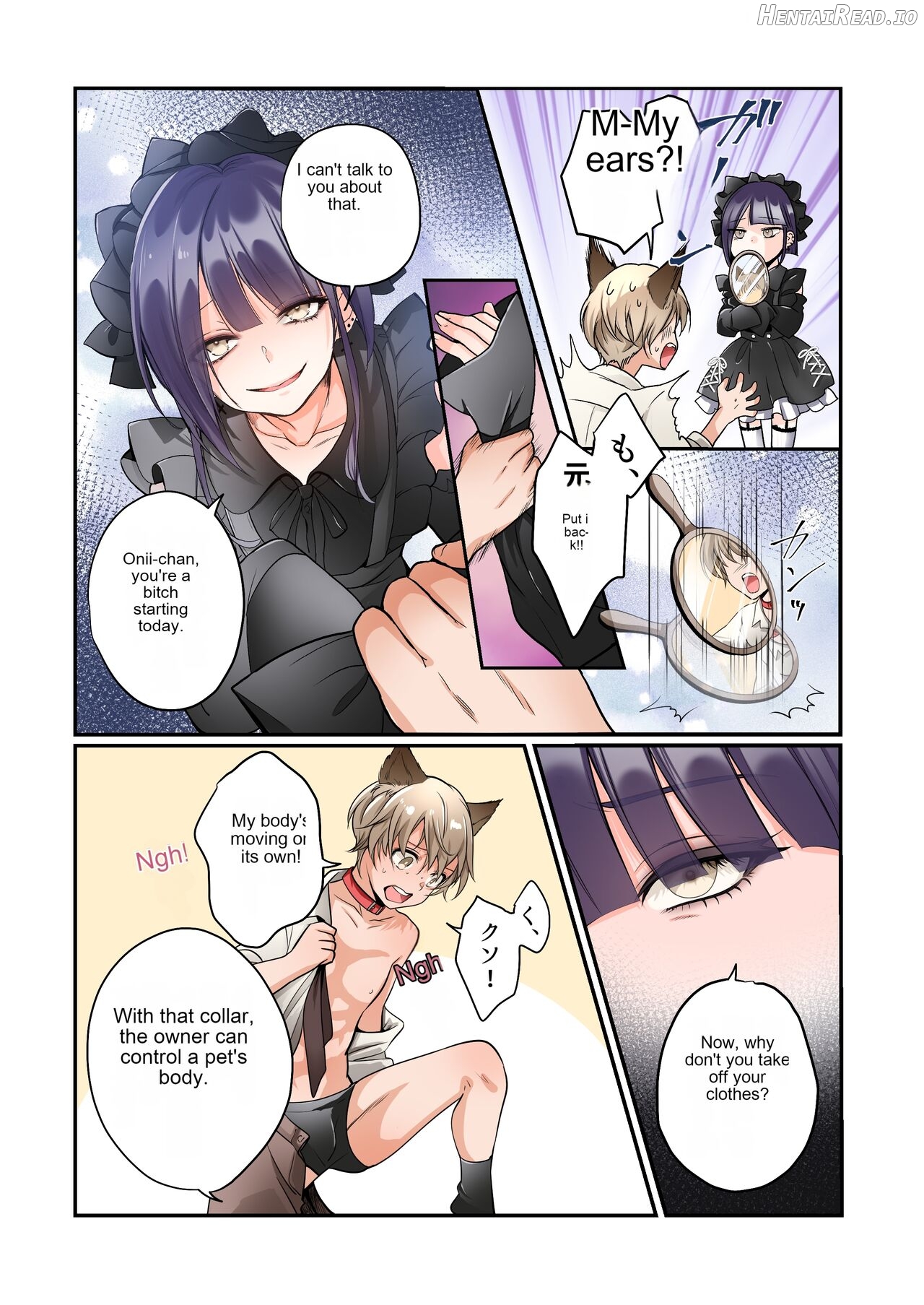 Female dog collar Chapter 1 - page 5