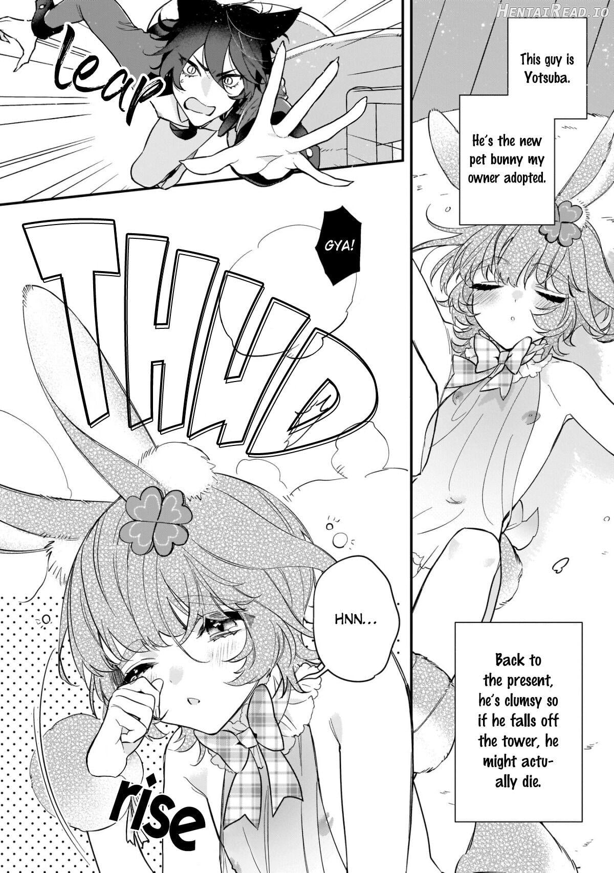 Neko hame usagi-chan wa gaman shinai Chapter 1 - page 5
