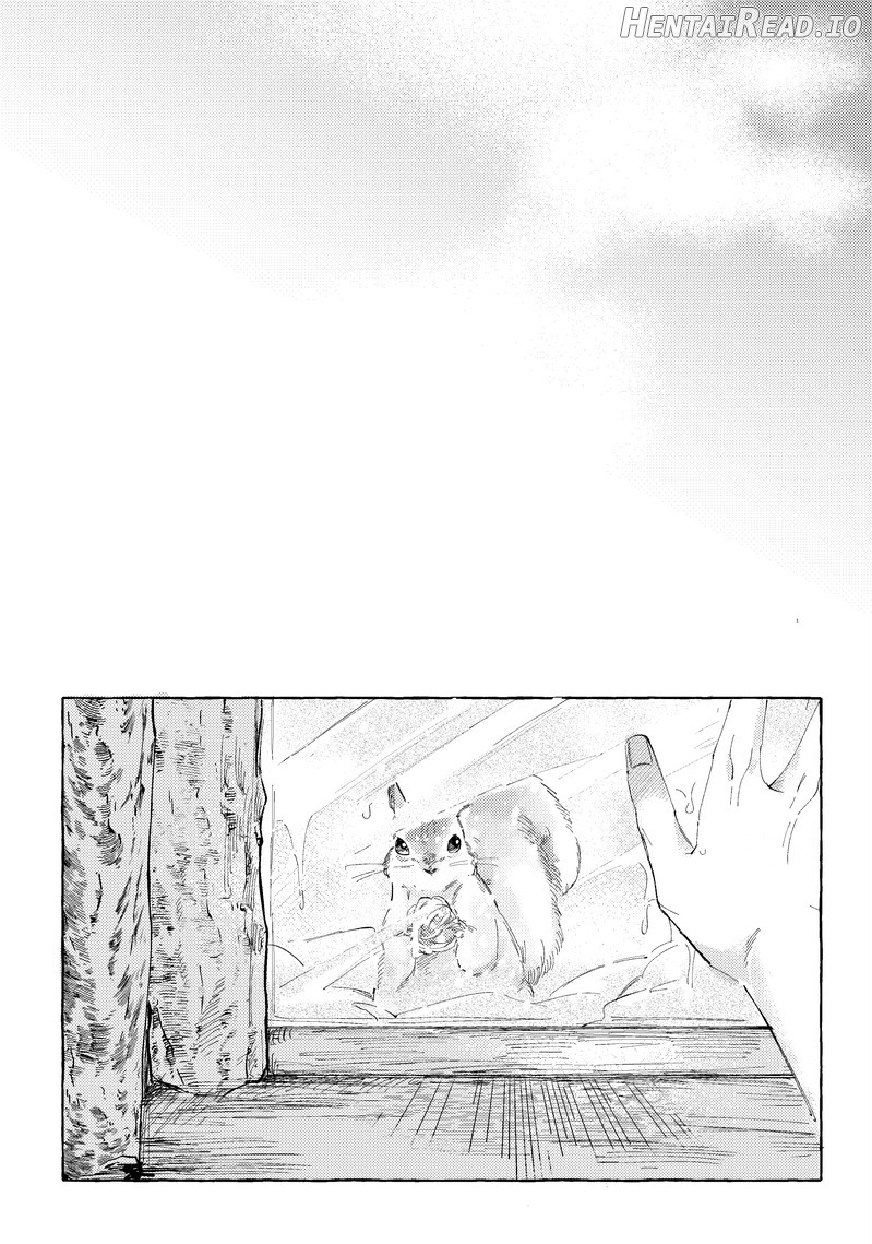 Haconiwa no Koibito Chapter 1 - page 16