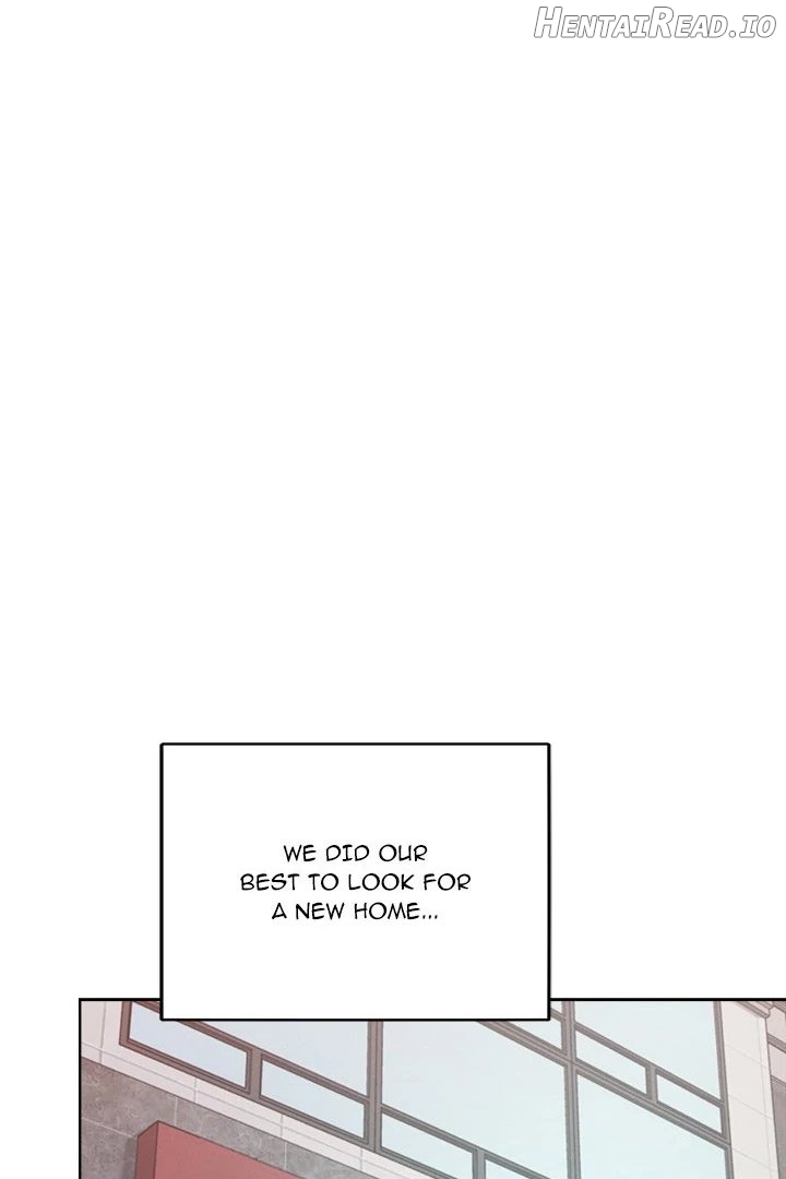 Tasty Missus x4 Chapter 12 - page 21