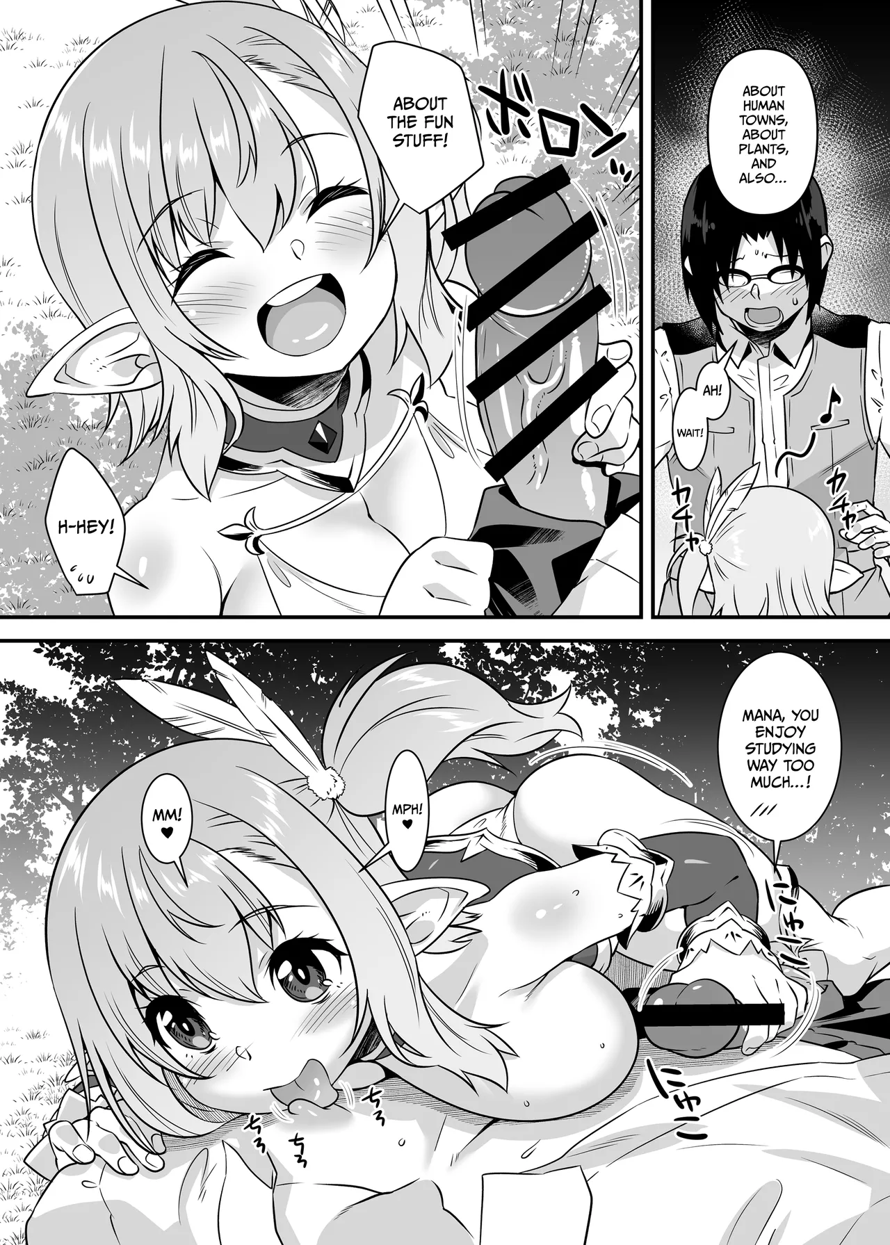 Sukebe Elf Tanbouki Soushuuhen Tokuten Chapter 1 - page 11