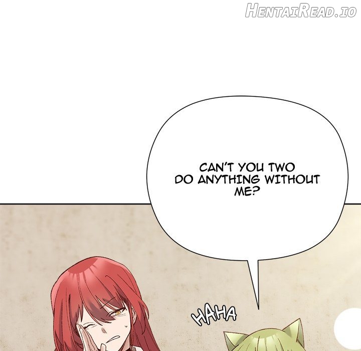 I Will Protect the Lady Chapter 14 - page 13