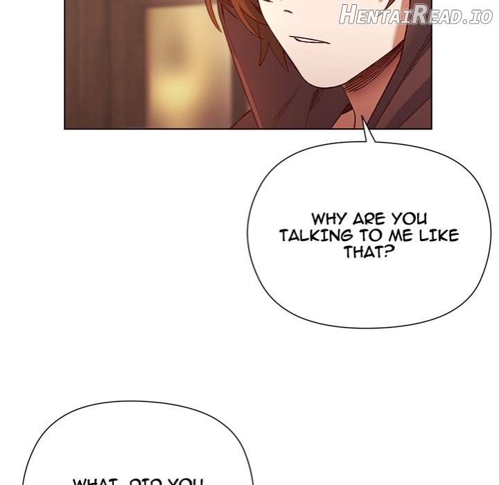 I Will Protect the Lady Chapter 24 - page 15