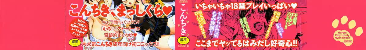 Harem Play Lovely Nyan Nyan Chapter 1 - page 4