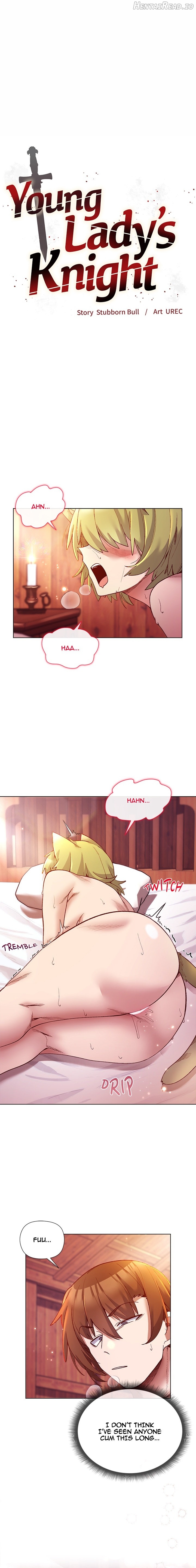 I Will Protect the Lady Chapter 27 - page 1