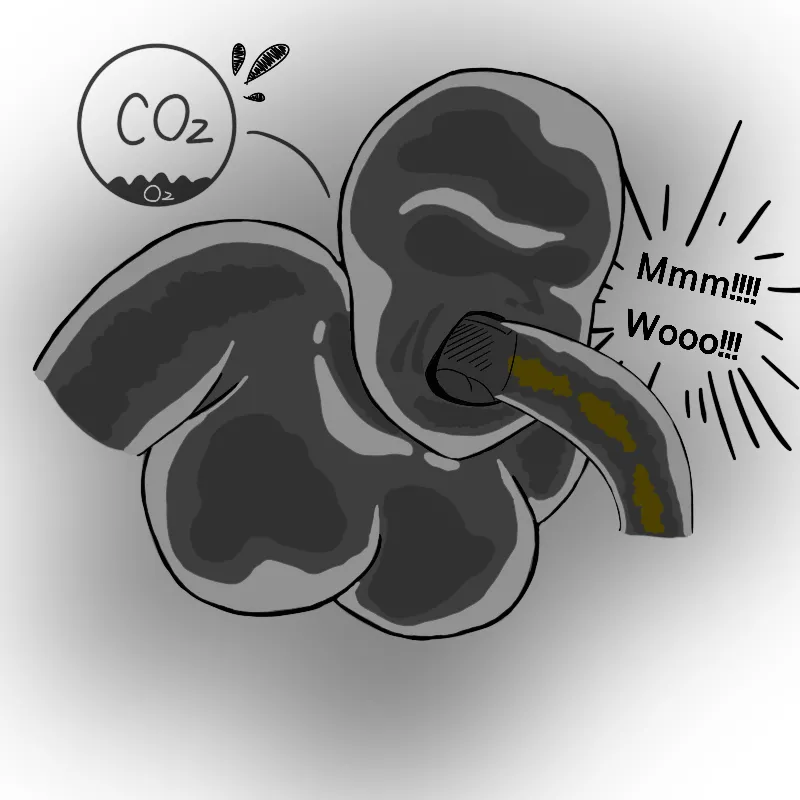 Biolime Part I-IV Chapter 1 - page 25