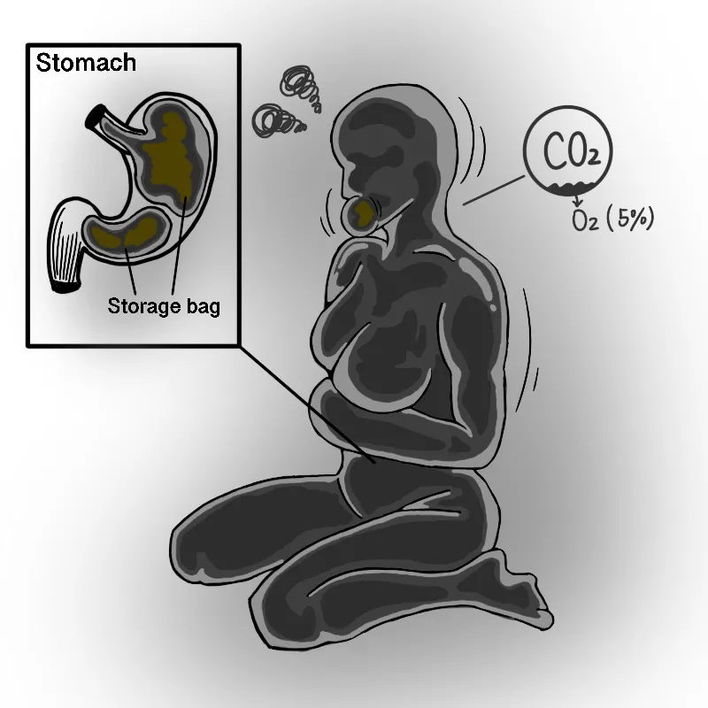 Biolime Part I-IV Chapter 1 - page 26