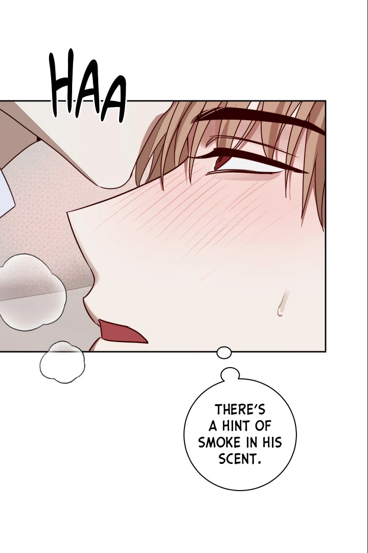 Bloom in the Shadows Chapter 12 - page 72