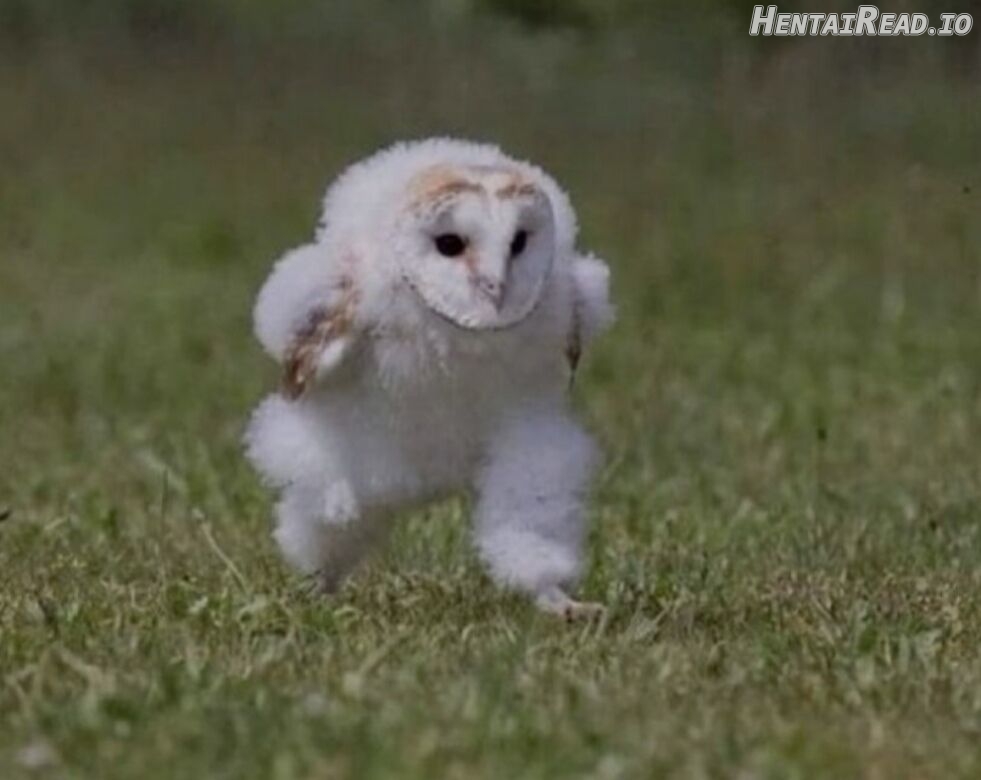 Taming the Tyrant [Full ver.] Chapter 79 - page 65