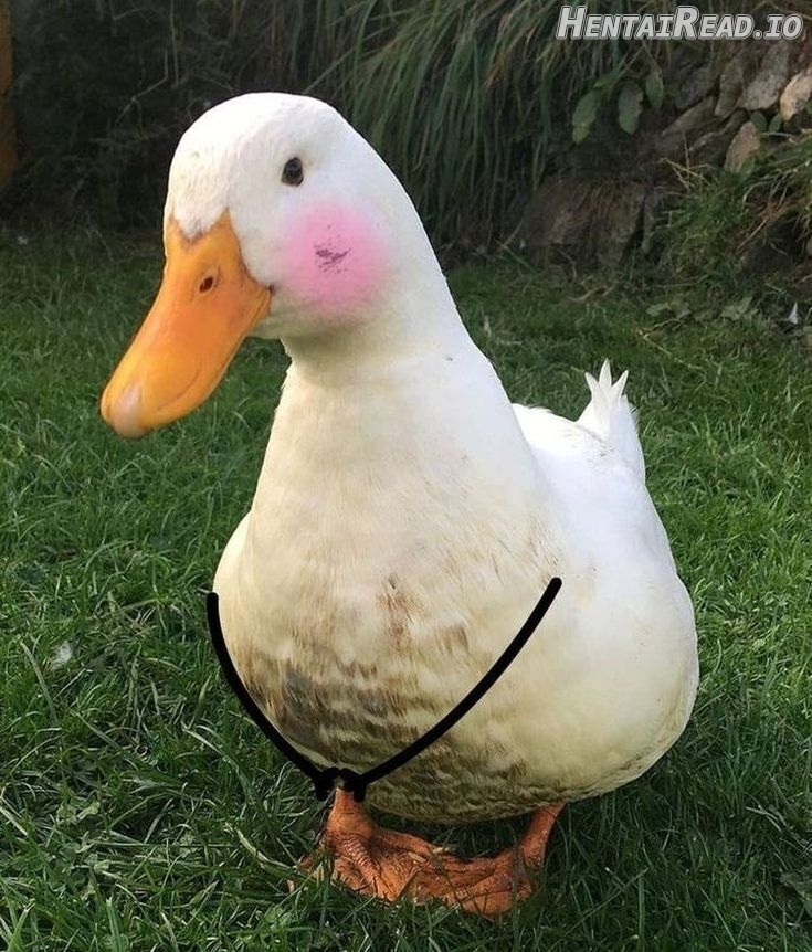 Blackout - Manhwa   Hentai Chapter 11 - page 111