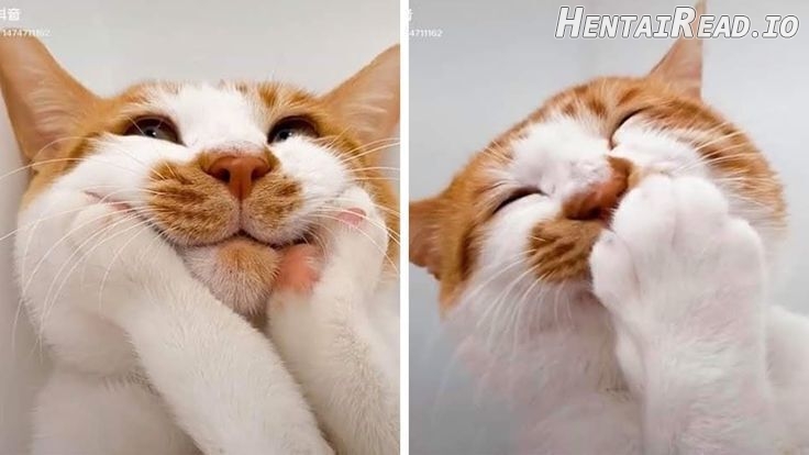 Destiny Ending Chapter 8 - page 61