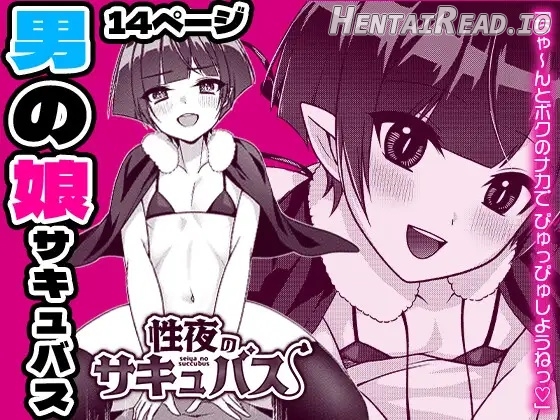 Seiya no Succubus Chapter 1 - page 1