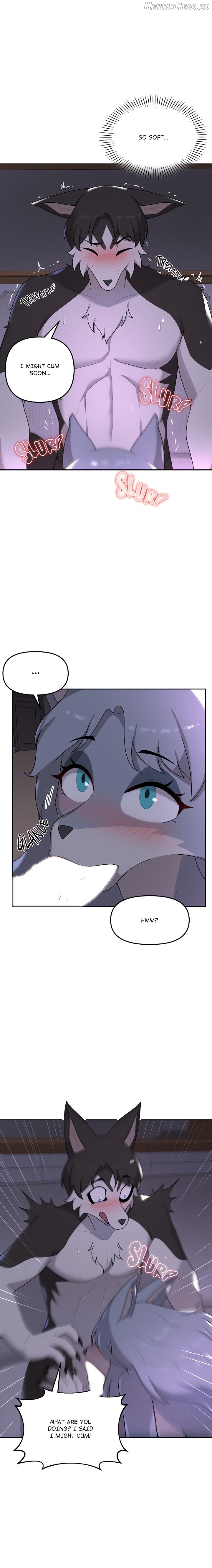 Paws on Campus Chapter 3 - page 17