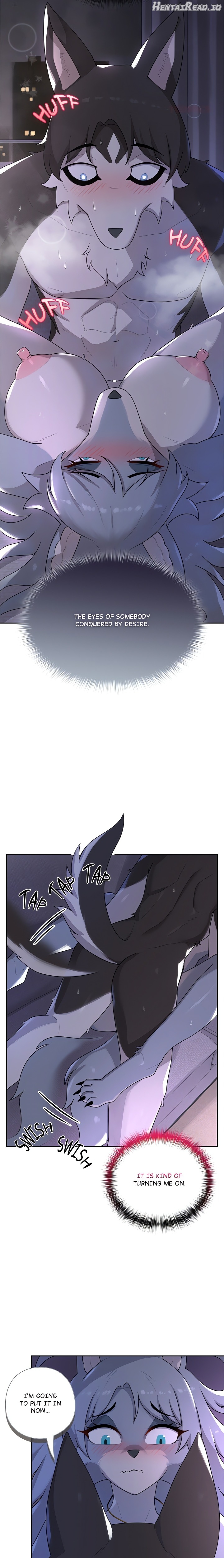 Paws on Campus Chapter 4 - page 17