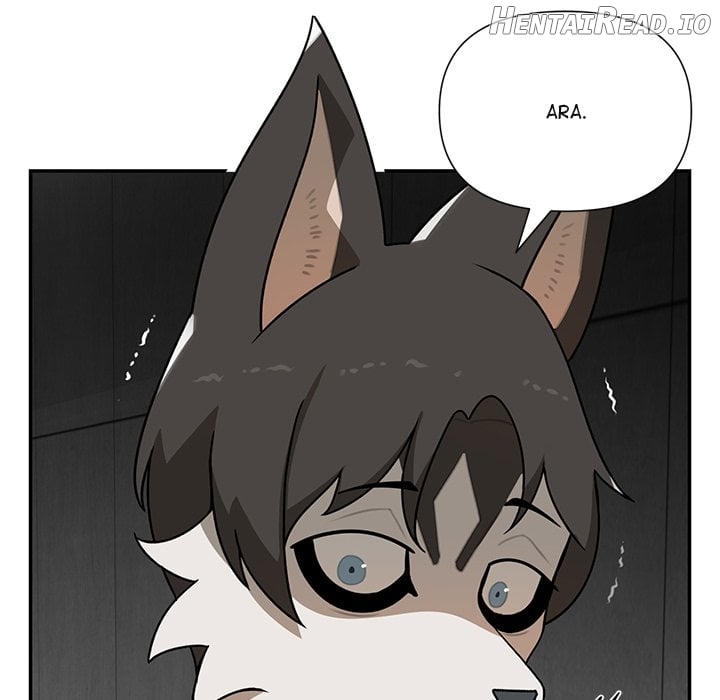 Paws on Campus Chapter 19 - page 109