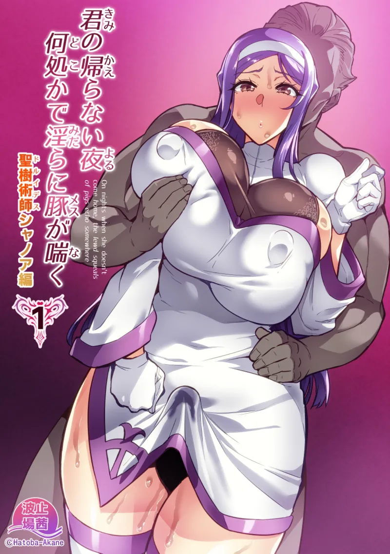 Kimi ga Kaeranai Yoru Dokoka de Midara ni Buta ga Aeku Ch. 1-4 Chapter 1-4 - page 1