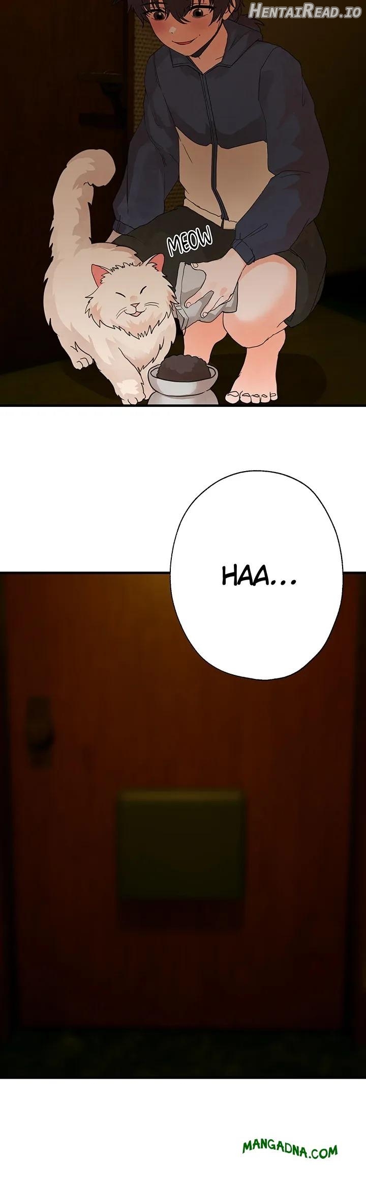 Clara, the Virgin Shut-in Chapter 20 - page 7