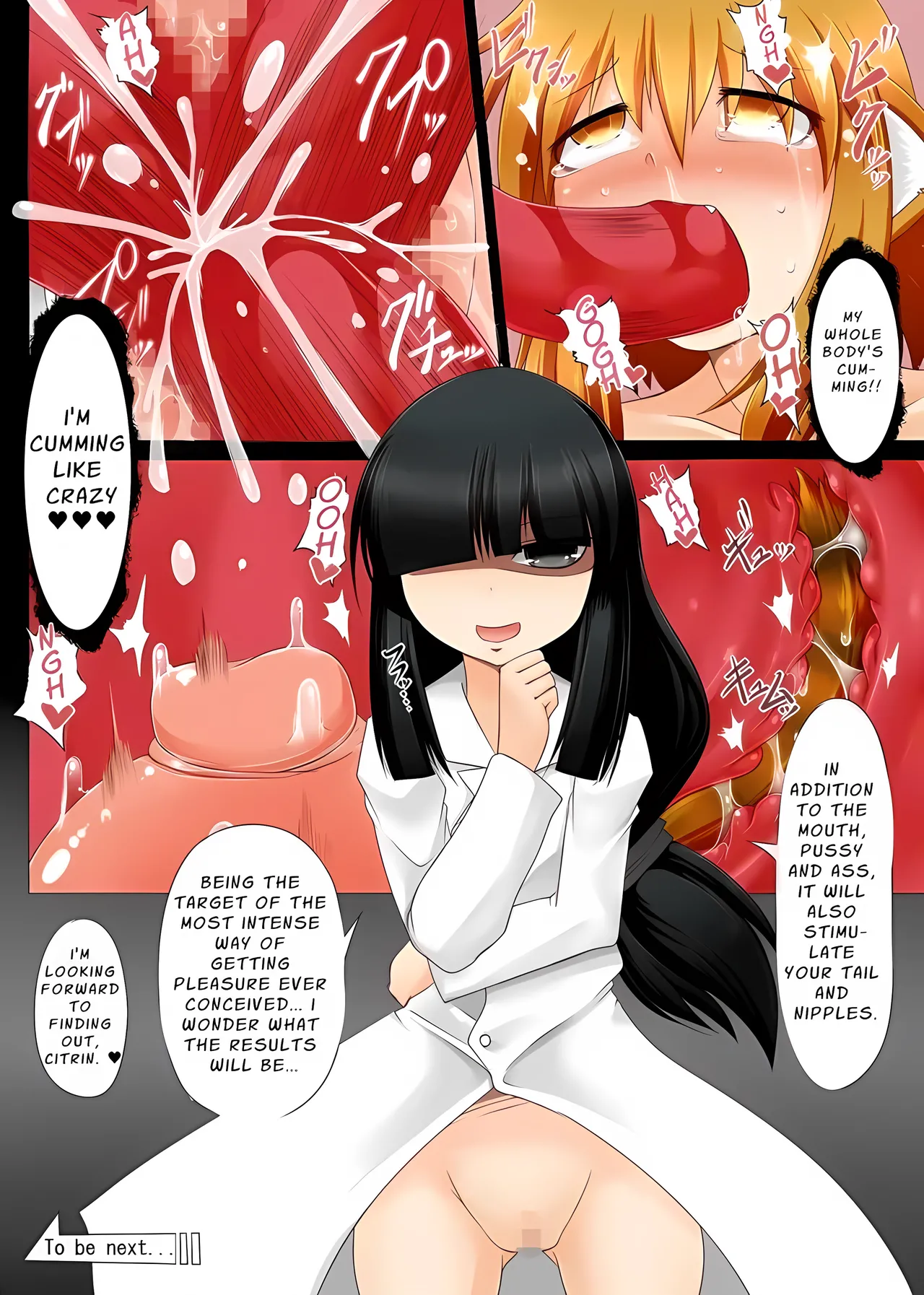 Injuu Maid Citrin ~Item I Kouhen~ Chapter 1 - page 11