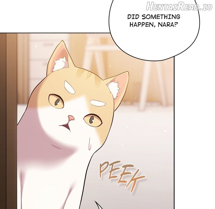 The Love Meowtchmaker Chapter 46 - page 141