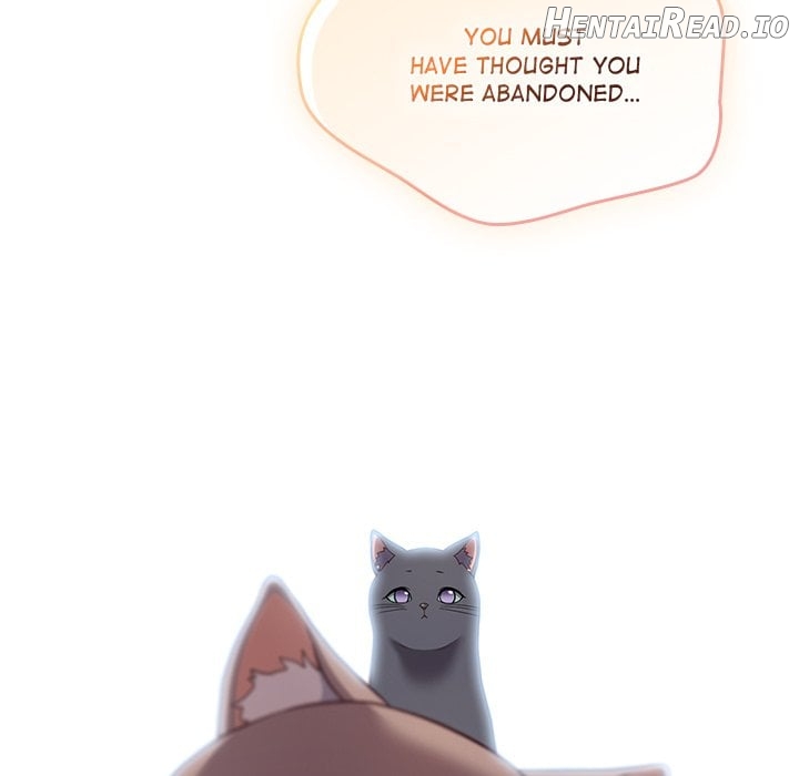 The Love Meowtchmaker Chapter 46 - page 42