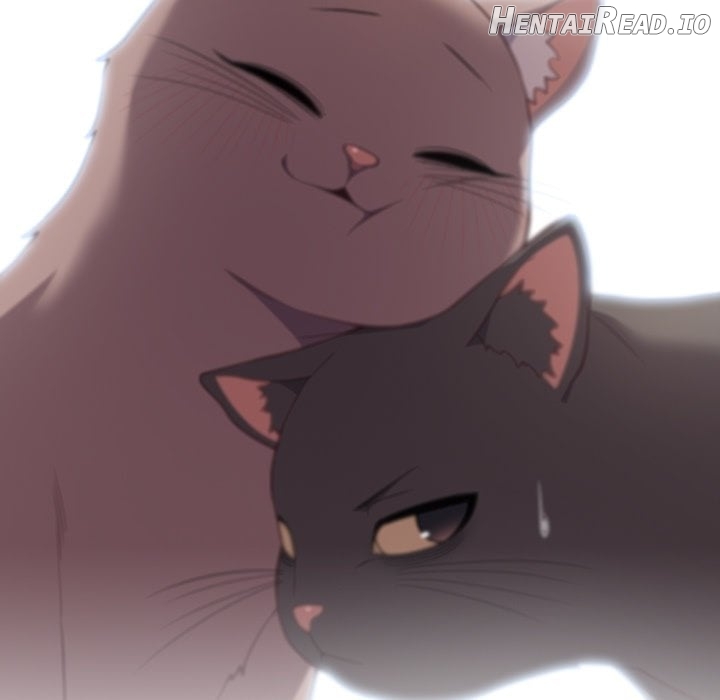 The Love Meowtchmaker Chapter 46 - page 43
