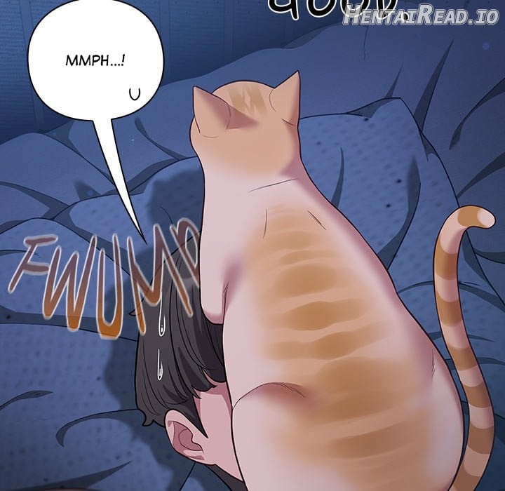 The Love Meowtchmaker Chapter 49 - page 88