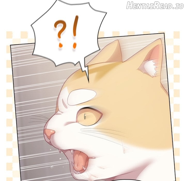 The Love Meowtchmaker Chapter 33 - page 98