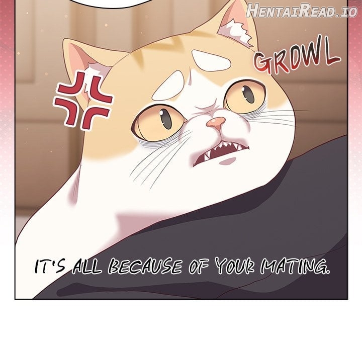 The Love Meowtchmaker Chapter 38 - page 125