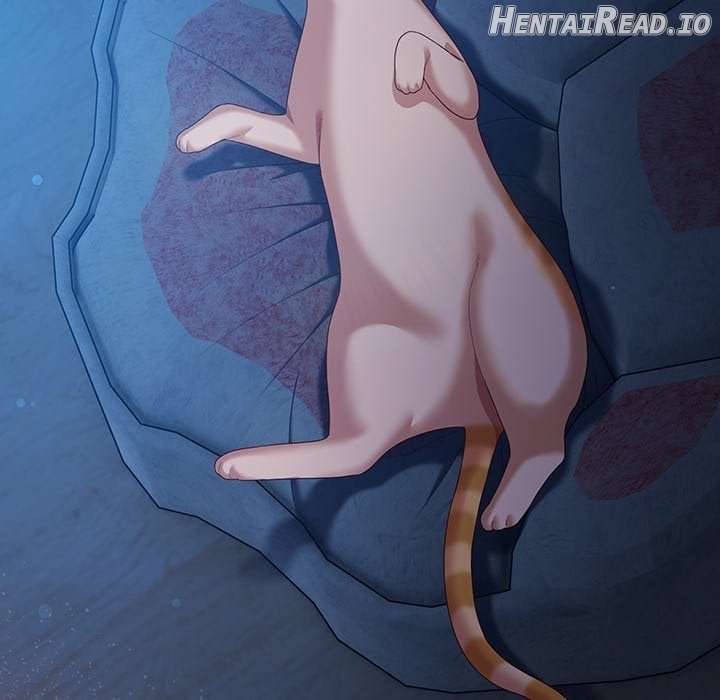 The Love Meowtchmaker Chapter 27 - page 6
