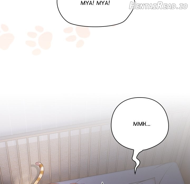 The Love Meowtchmaker Chapter 18 - page 8